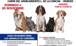 El Ayuntamiento de Piélagos, en ...