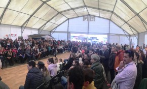 Más de una docena de asociaciones y ...