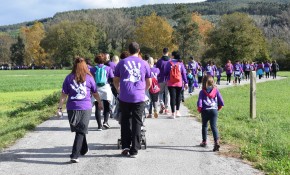 Piélagos celebrará mañana, sábado, ...