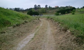 Limpieza de caminos vecinales del  ...