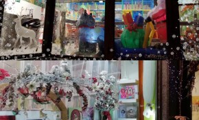 Librería Lisaso y LOBOGUAY Parque de ...