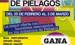 El Ayuntamiento de Piélagos, en ...