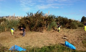 Avanzan a buen ritmo los trabajos de ...