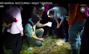 En marcha una nueva edición de los ...