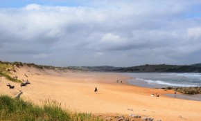 Recogidos 52 kilos de residuos en la ...