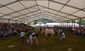 Abierto hasta el 7 de junio el plazo de ...