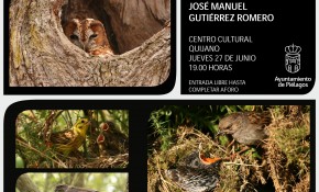 José Manuel Gutiérrez Romero ...