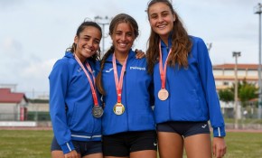 Siete títulos y diecisiete metales ...