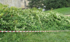 El Ayuntamiento de Piélagos publica en ...