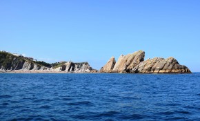 Más de 1.300 personas pasaron por la ...