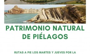 El Ayuntamiento pone en marcha un nuevo ...