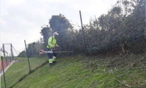 El Ayuntamiento de Piélagos realiza ...