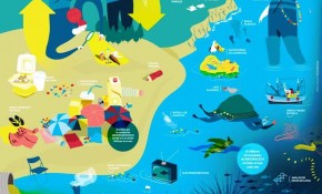 El #proyectoLIBERA organizará este ...