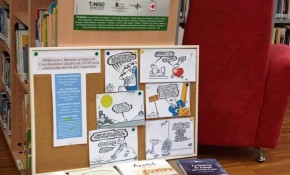 Las bibliotecas municipales de ...