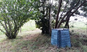 MARE repartirá mañana, viernes, las ...