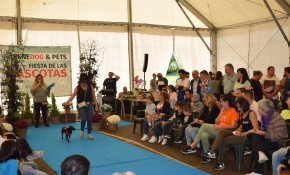 Once asociaciones protectoras ...