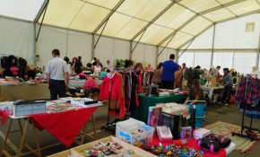 Más de 40 stands participan este ...