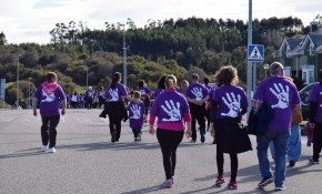 Piélagos celebrará mañana, sábado, ...