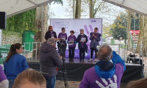 Piélagos celebra en Oruña un acto en ...