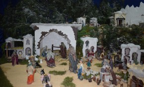 El Ayuntamiento de Piélagos organiza ...