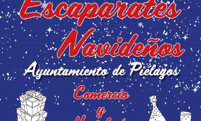 El Ayuntamiento de Piélagos convoca el ...