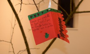 El Ayuntamiento de Piélagos planta en ...