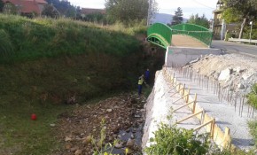 19 peones forestales y un técnico de ...