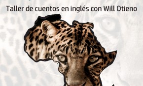 Las bibliotecas municipales de ...