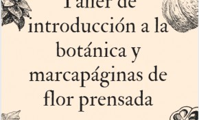 Las bibliotecas municipales de Liencres ...