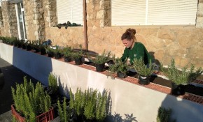 Los alumnos y alumnas de la Escuela ...