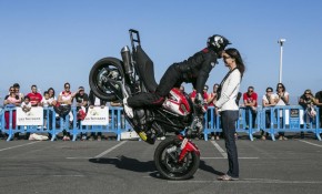 Las fiestas de San Antonio 2015 ...