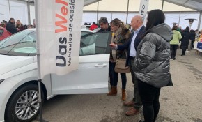 Una nueva Feria del stock abre sus ...