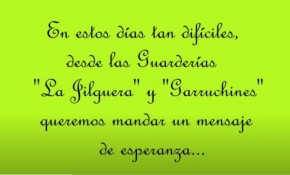Las guarderías-ludotecas municipales ...
