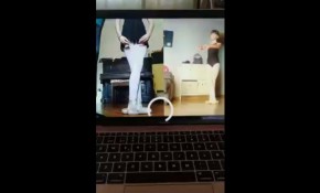 La Escuela municipal de Danza del ...