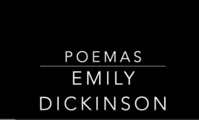 Las bibliotecas municipales de ...