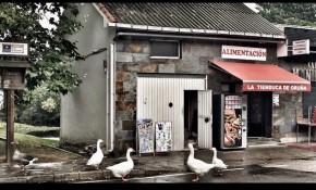 Tres establecimientos de Oruña y ...