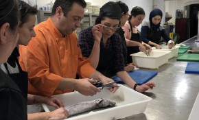 Piélagos solicita al Gobierno de ...