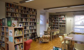 Las bibliotecas municipales de ...