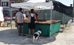 Oruña acogerá este fin de semana el ...