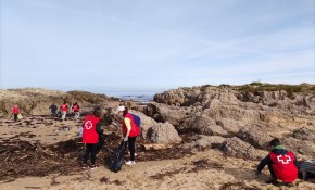 Recogidos 139 kilos de basuras marinas ...