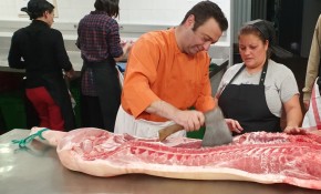 En marcha la IV edición del Programa ...