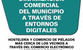 El Ayuntamiento impulsa la creación de ...