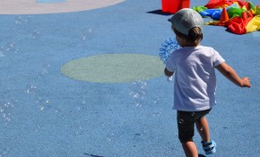 Abierto el plazo de solicitud de ayudas ...