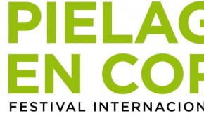 El XI Festival Internacional de Cine de ...