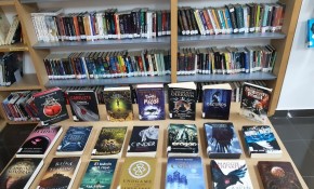 Las bibliotecas municipales del ...