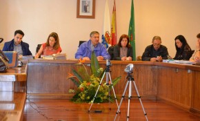 El Pleno aprueba por unanimidad las ...