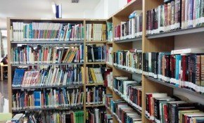 La Biblioteca municipal Francisco Sota ...