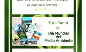 Las bibliotecas municipales del ...