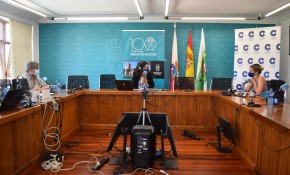 Las fiestas de San Antonio de Renedo de ...