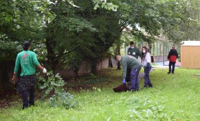 La Escuela Taller de Piélagos inicia ...